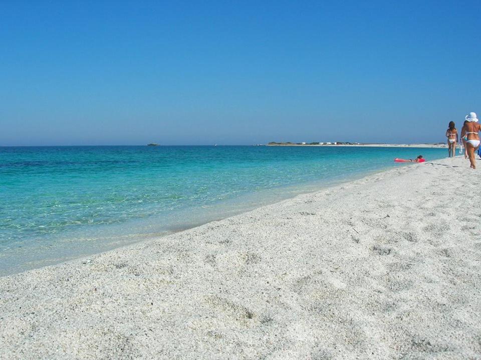 Bed and Breakfast Sardinia Eco Vegan House Zeddiani Екстер'єр фото