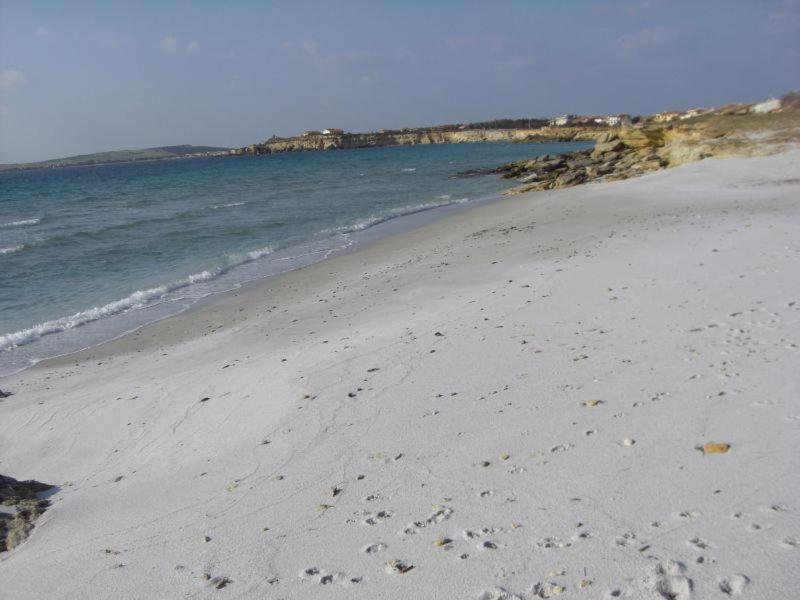 Bed and Breakfast Sardinia Eco Vegan House Zeddiani Екстер'єр фото