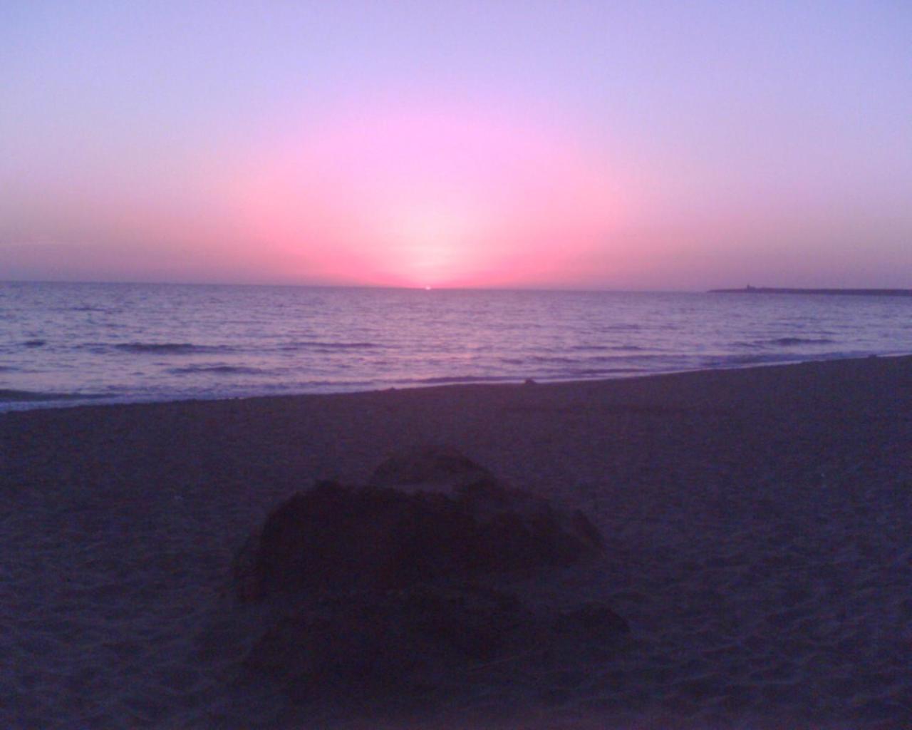 Bed and Breakfast Sardinia Eco Vegan House Zeddiani Екстер'єр фото