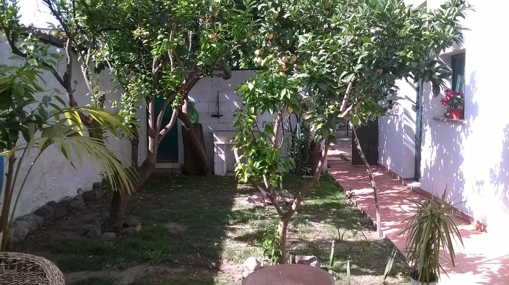 Bed and Breakfast Sardinia Eco Vegan House Zeddiani Екстер'єр фото